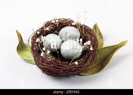 Brown nest of twigs with three gray Easter eggs, feathers, dried magnolia leaves and sprigs of gypsophila on gray background. Minimalistic Easter conc Stock Photo