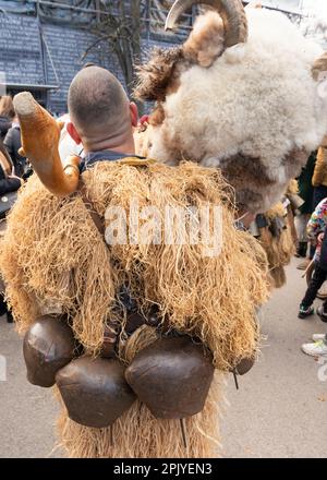 Rear view of male Kukeri dancer with large bells and mask off at the traditional annual Kukeri festival in Sofia, Bulgaria, Balkans, EU Stock Photo