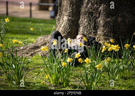 London, UK. 4th Apr, 2023. UK weather, sun bathers enjoying the April sunshine in St James Park London UK and feeding the Parakeets Credit: Ian Davidson/Alamy Live News Stock Photo