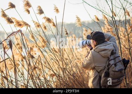 Photographer with camera hiding behind reeds at lake taking pictures of wildlife. Outdoors leisure activity Stock Photo