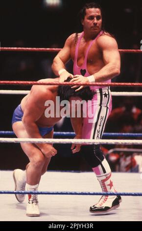 1990 Bret Hart   Greg Valentine                                                      Photo by  John  Barrett/PHOTOlink Stock Photo