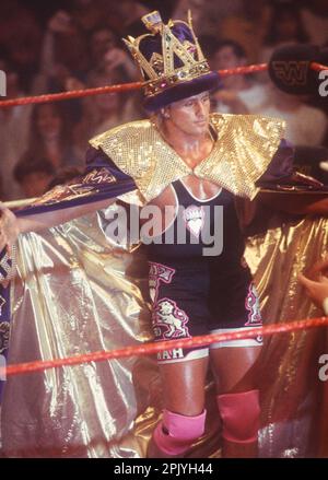 1994 Owen Hart Photo by John Barrett/PHOTOlink Stock Photo - Alamy