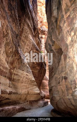 Entrance path into the UNESCO historic site of Petra. Jordan. Stock Photo