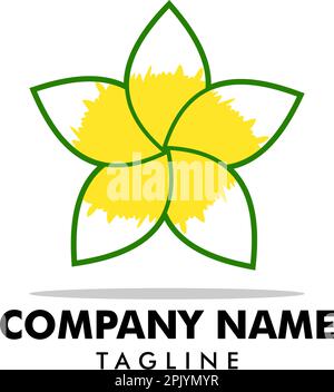 Plumeria flower logo template vector Stock Vector