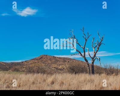 Sunny view of the landscape of Crab Eyes Trail in Wichita Mountains National Wildlife Refuge at Oklahoma Stock Photo