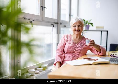 Portrait of smiling mature businesswoman working in an office Stock Photo