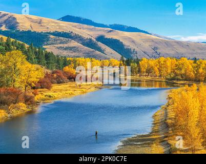 fisherman and fall colors along the bitterroot river near missoula, montana Stock Photo