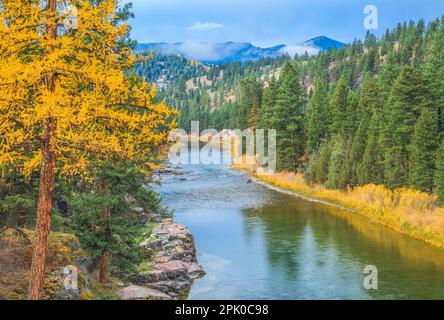 autumn morning along the blackfoot river near potomac, montana Stock Photo