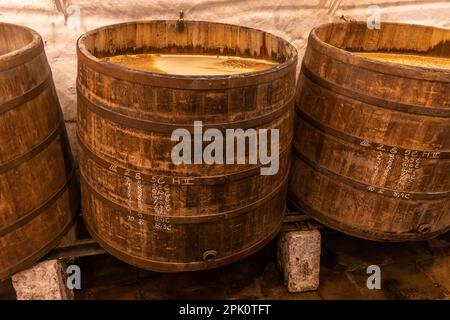 PILSEN, CZECH REPUBLIC, EUROPE - Pilsner Urquell Brewery. Historic brewing vats, old casks. Beer, open fermentation in wooden barrels. Stock Photo