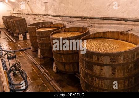 PILSEN, CZECH REPUBLIC, EUROPE - Pilsner Urquell Brewery. Historic brewing vats, old casks. Beer, open fermentation in wooden barrels. Stock Photo