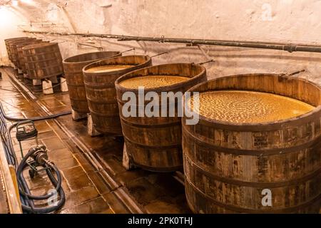 PILSEN, CZECH REPUBLIC, EUROPE - Pilsner Urquell Brewery. Historic brewing vats, old casks. Beer, open fermentation in wooden barrels. Stock Photo