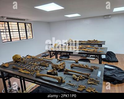 Manila, Philippines. 04th Apr, 2023. Forensic pathologist Dr. Raquel Fortun examines the exhumed skeletons of drug war victims in Caloocan City. (Photo by Sherbien Dacalanio/Pacific Press) Credit: Pacific Press Media Production Corp./Alamy Live News Stock Photo