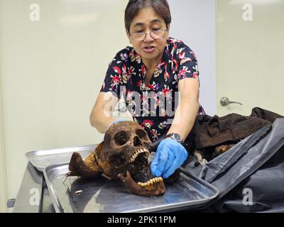 Manila, Philippines. 04th Apr, 2023. Forensic pathologist Dr. Raquel Fortun examines the exhumed skeletons of drug war victims in Caloocan City. (Photo by Sherbien Dacalanio/Pacific Press) Credit: Pacific Press Media Production Corp./Alamy Live News Stock Photo