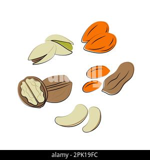 Nuts pistachio almond walnut cashew peanut collection, peanutisolated on white background. Cartoon Vector Icon Stock Vector