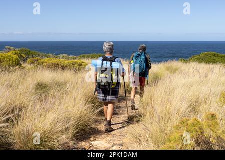 Senior biracial couple wearing backpacks, hiking with trekking poles Stock Photo