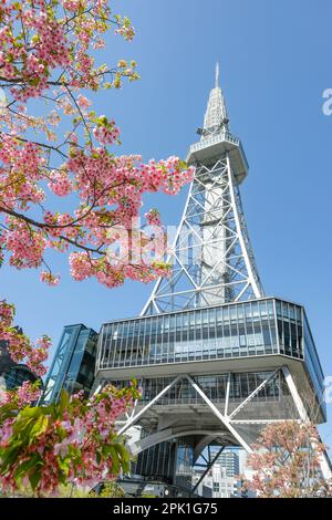 Nagoya, Japan - March 14, 2023: Cherry blossoms next to the Chubu Electric Power Mirai Tower is a television tower in Nagoya, Japan. Stock Photo