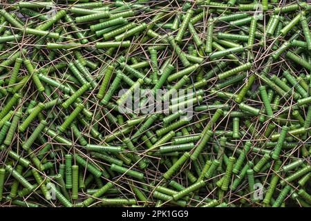 Background of green vintage radio components, bunch of old resistors, close-up Stock Photo