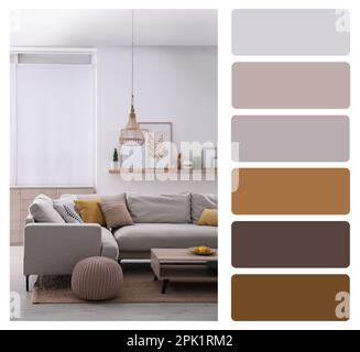 Color palette and photo of stylish living room interior. Collage Stock Photo