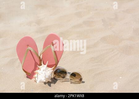 Stylish pink flip flops, sunglasses and seashell on sandy beach, space for text Stock Photo