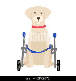 Dog in a wheelchair for the hind paws. Vector illustration in a flat style, Stock Vector