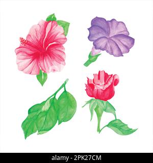 Tropical flowers on white background, hand draw watercolor vector illustration for greeting card and invitation Stock Vector