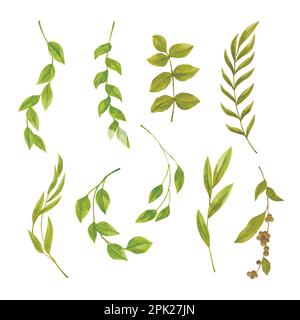 Green leaf design element set, hand drawn watercolor vector illustration for greeting card or invitation design Stock Vector