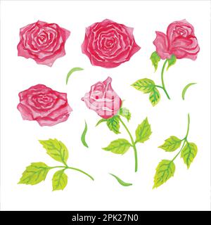 Selection of roses in red tones, hand drawn watercolor vector illustration for greeting card or invitation design Stock Vector