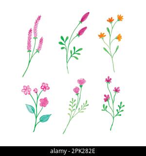 Watercolor botanical flower, hand drawn watercolor vector illustration for greeting card or invitation design Stock Vector