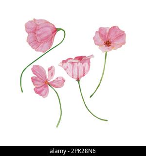 Botanic elements of pink and purple flowers, hand drawn watercolor vector illustration for greeting card or invitation design Stock Vector
