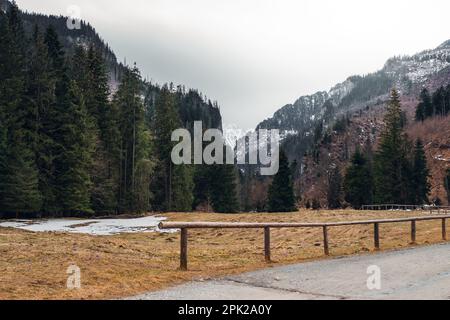 Beautiful mountain valley in early spring. Dirt road and wooden railings in the foreground. Crocuses in the meadow. Mountain peak covered with snow in Stock Photo
