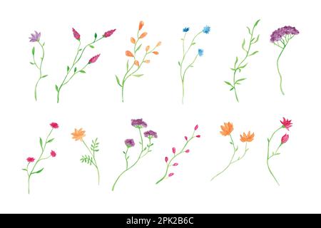 Watercolor botanical floral branch collection, hand drawn watercolor vector illustration for greeting card or invitation design Stock Vector