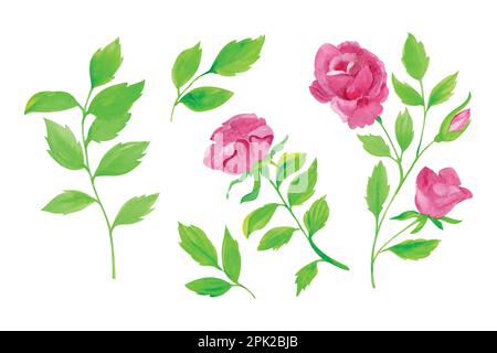 Hand drawn roses and leaves set illustration, hand drawn watercolor vector illustration for greeting card or invitation design Stock Vector