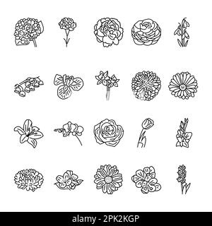 Flowers black line icons set. Pictograms for web page, mobile app, promo. Stock Vector