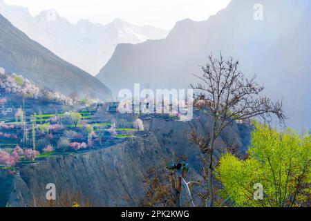 beautiful spring landscapes of blossom trees and mountains in background Stock Photo