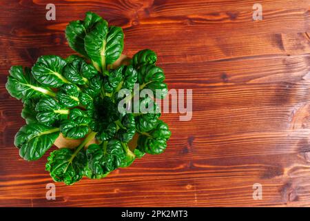 Tatsoy is an Asian variety of Brassica rapa, grown for cooking vegetables. Chinese cabbage Tatsoi. Copy space Stock Photo