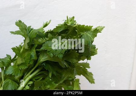 Detail of the upper part of some green celery (apium graveolens) branches isolated on a white background Stock Photo
