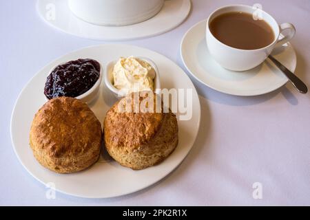 Cream tea with two freshly baked plain scones with dishes of clotted cream and jam with a cup of tea served on clean white crockery and tablecloth. Stock Photo