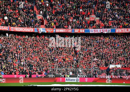 Fan block with flags, banners, full, sold out, Suedkurve, German Classico FC Bayern Muenchen FCB vs Borussia Dortmund BVB, Allianz Arena, Munich, Baye Stock Photo