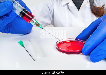 A doctor uses a syringe to draw a blood sample from a petri dish in the lab - detailed look Stock Photo