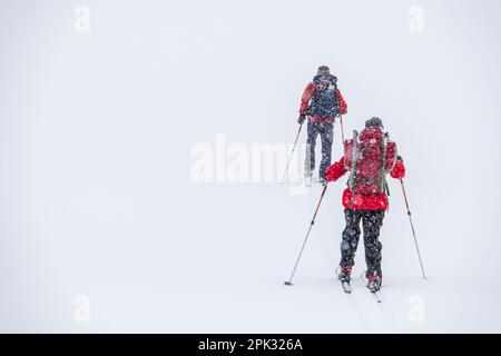 Two people mountain skiing in heavy snowfall, Norway Stock Photo