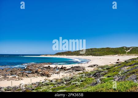 Holiday makers at the idyllic beach of Prevelly, in the Margaret River region of southwest Western Australia Stock Photo