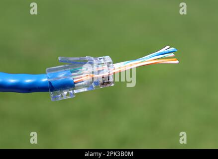 RJ45 ethernet connection Wiring T568B standard Stock Photo