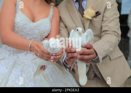 The wedding couple holds white doves in their hands. Tradition. Bride and groom. Stock Photo