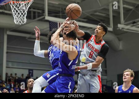 Wilmington, Delaware, USA. 4th Apr, 2023. Rio Grande Valley Vipers guard JARRETT CULVER (8) fights for the rebound during game one of the NBA G League Finals between the Delaware Blue Coats and the Rio Grande Valley Vipers Thursday, Mar. 30, 2023; at the Chase Fieldhouse in Wilmington, DE. (Credit Image: © Saquan Stimpson/ZUMA Press Wire) EDITORIAL USAGE ONLY! Not for Commercial USAGE! Stock Photo