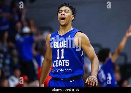 Wilmington, Delaware, USA. 4th Apr, 2023. Delaware Blue Coats guard JADEN SPRINGER (11) celebrates during game one of the NBA G League Finals between the Delaware Blue Coats and the Rio Grande Valley Vipers Thursday, Mar. 30, 2023; at the Chase Fieldhouse in Wilmington, DE. (Credit Image: © Saquan Stimpson/ZUMA Press Wire) EDITORIAL USAGE ONLY! Not for Commercial USAGE! Stock Photo