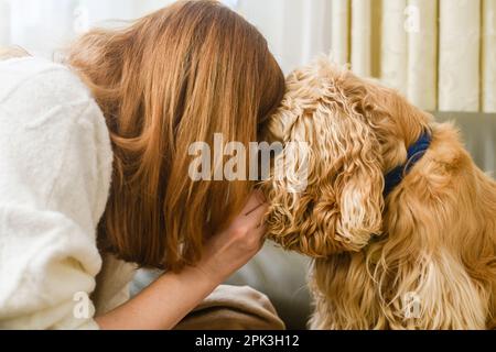 Close-up of the face of the girl and the muzzle of the spaniel in front of each other. Nose to nose. Stock Photo