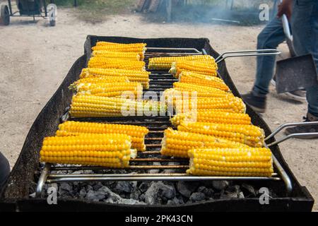 Corn cobs cook on an outdoor grill. Roasted corn. Corn is roasted over the coals. Stock Photo