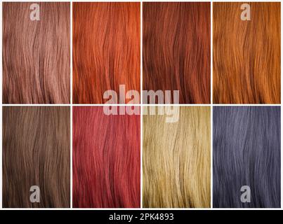 Collage with multicolored hair samples. Color palette Stock Photo