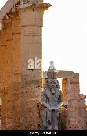 The Colossus of Ramesses ll in the First Court, Luxor Temple, Luxor, Egypt, North East Africa Stock Photo