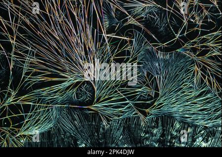 Caffeine crystals, polarised light micrograph Stock Photo